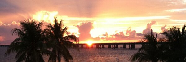 MegThorp Profile Banner