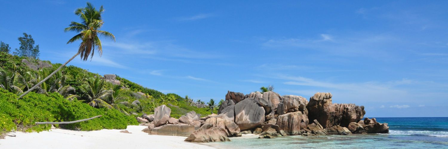 𝑀𝑖𝑠 𝑛𝑜𝑡𝑎𝑠... 📒 banner