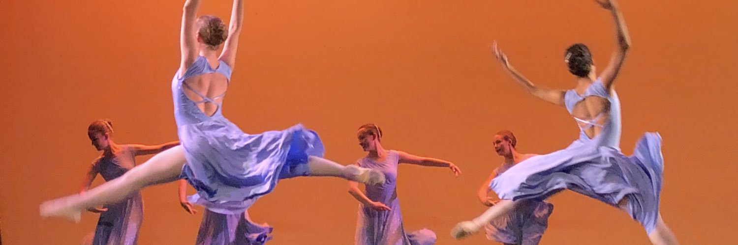 delphine_meric's profile banner image