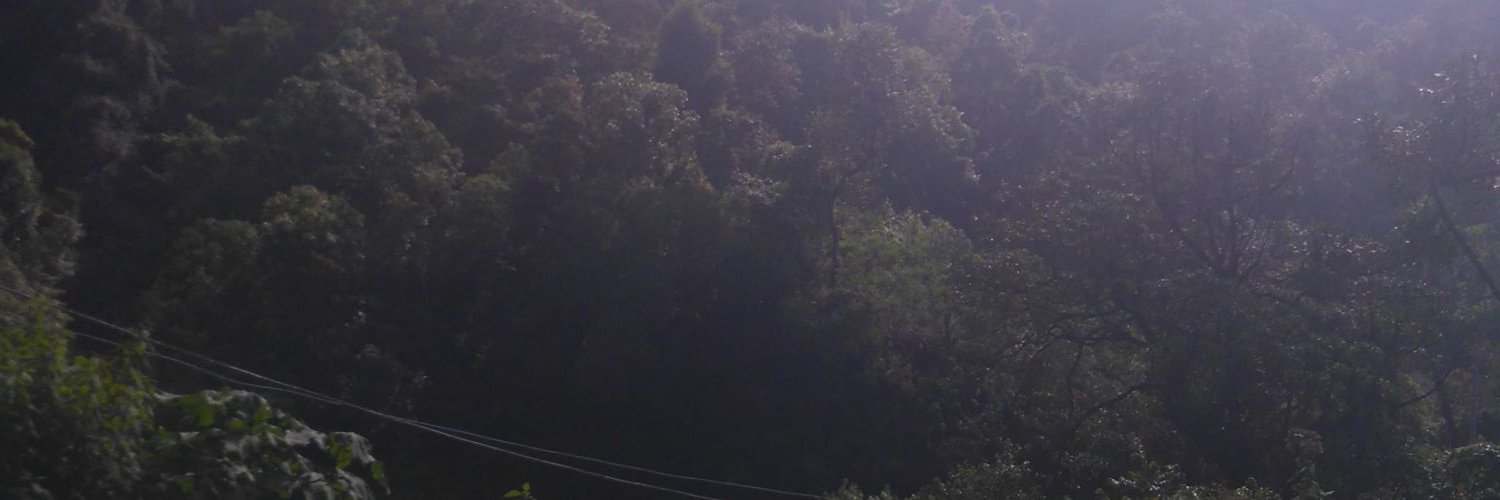 MarioRodas92's profile banner image