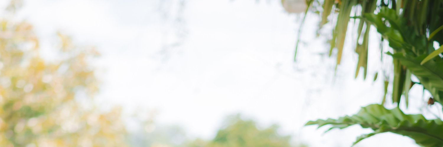 notbruhhm's profile banner image