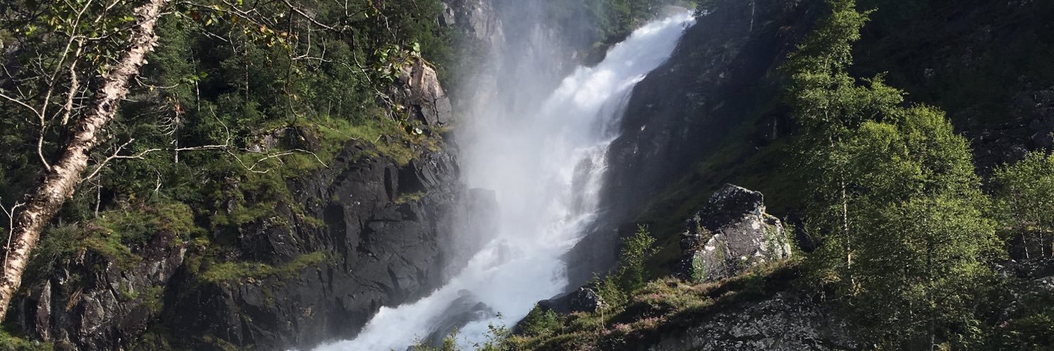 Flo🇪🇺🤝🇺🇦🇨🇦 banner