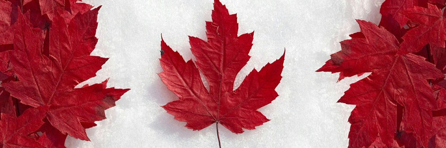2013Hessam's profile banner image