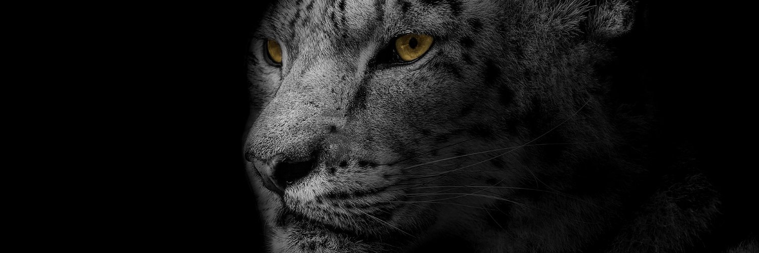 Isaaceonline's profile banner image