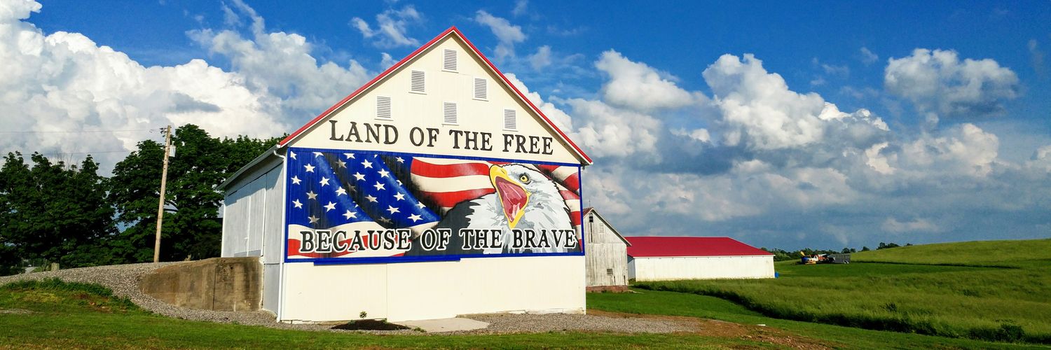 barnartist's profile banner image