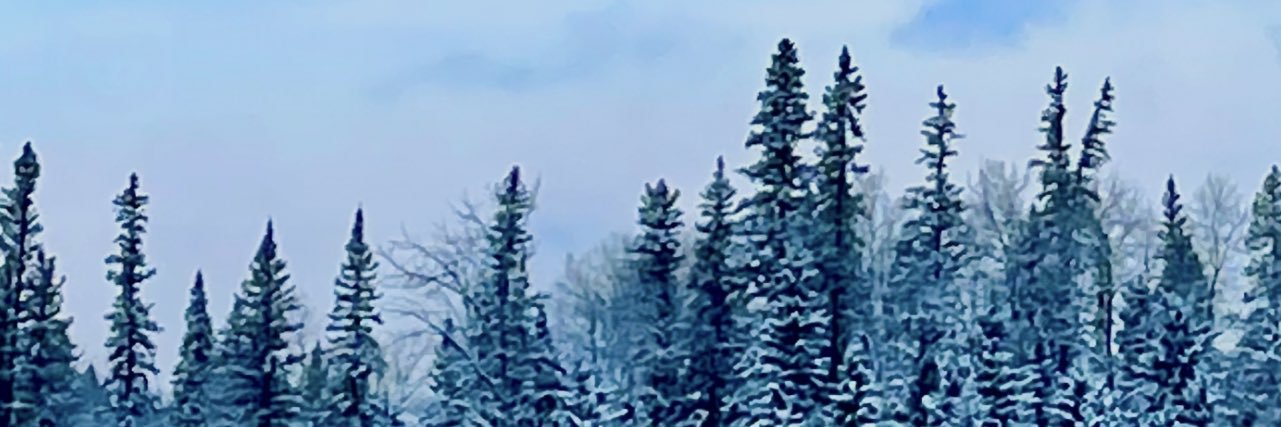 djb06's profile banner image