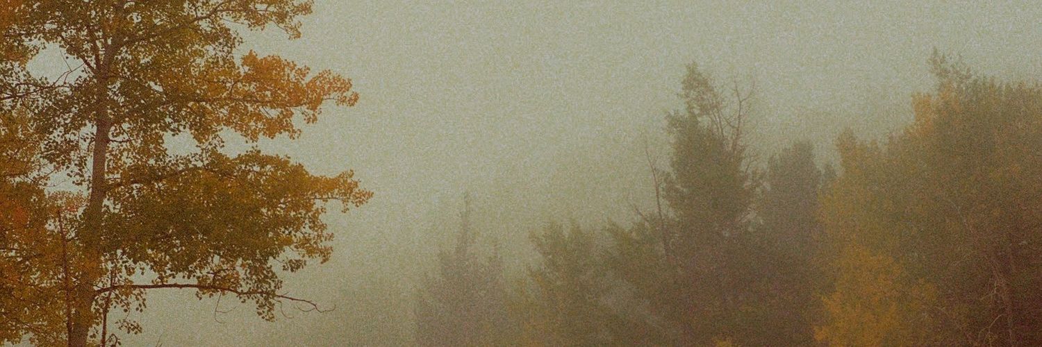 moje_nee's profile banner image