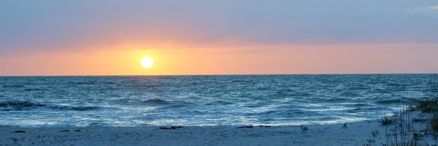 Melissa Lance banner