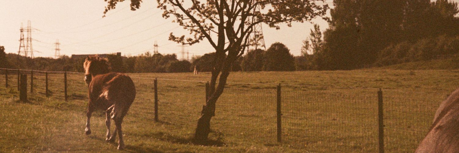daygray90's profile banner image