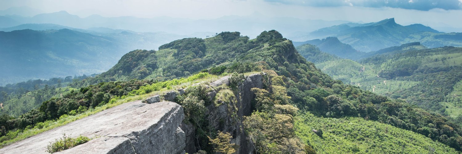 Asher de Silva banner