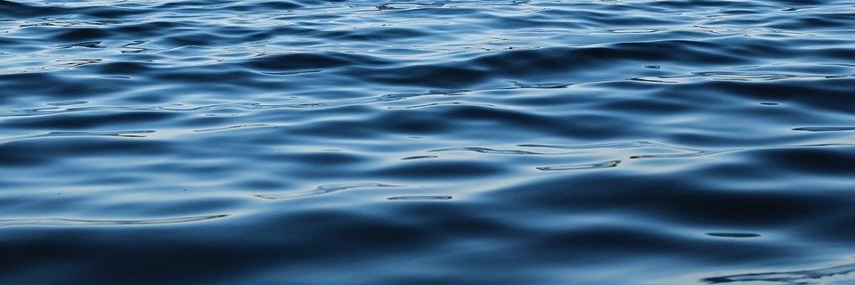 calangoandino's profile banner image