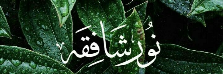__Shafiqah's profile banner image