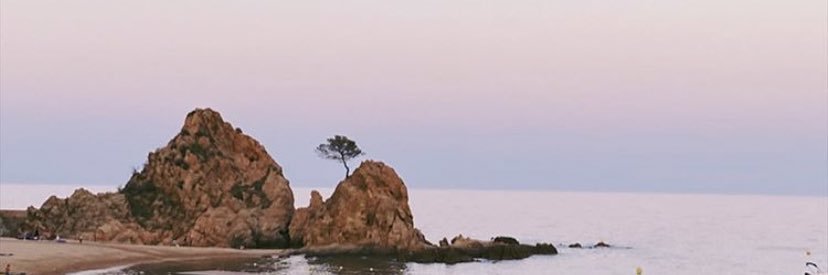 juditaguilo's profile banner image