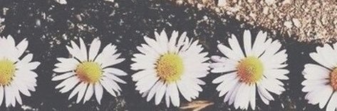 chelswins's profile banner image