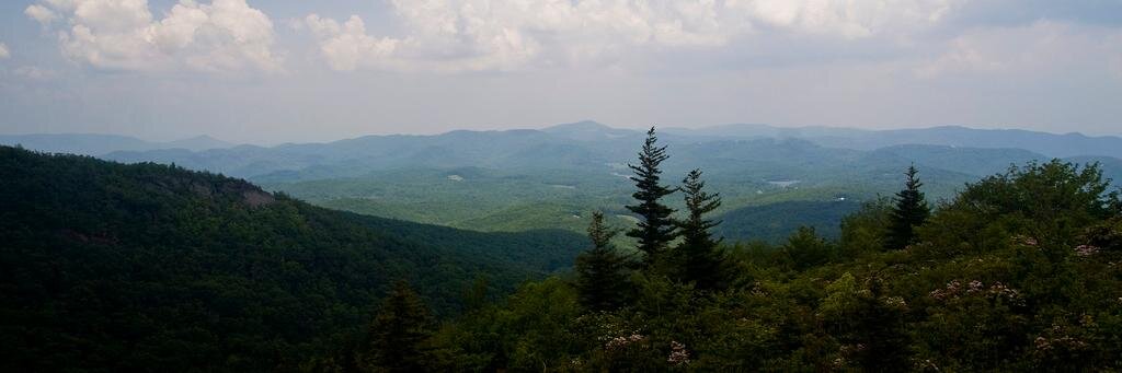 DrTracyWSmith's profile banner image