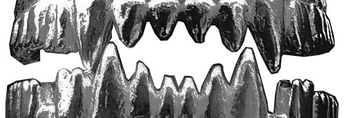 clemhatelgrs's profile banner image