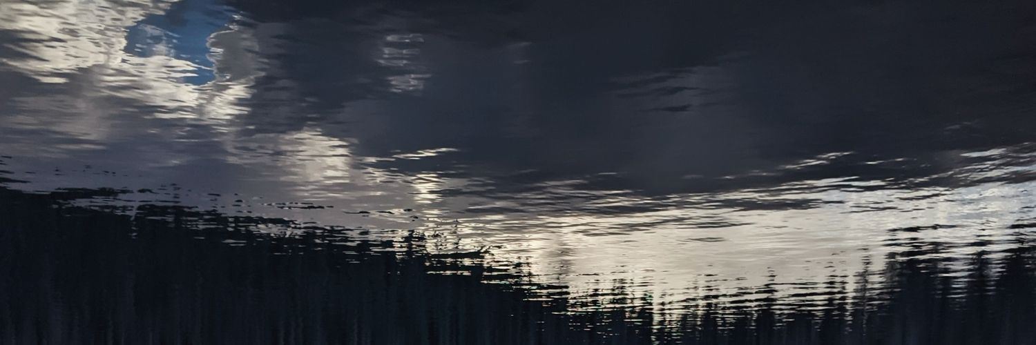 Achnatherum's profile banner image