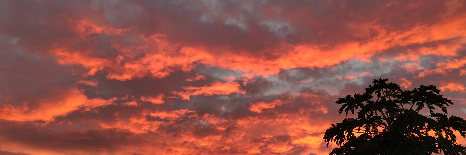 Sofigianotti's profile banner image