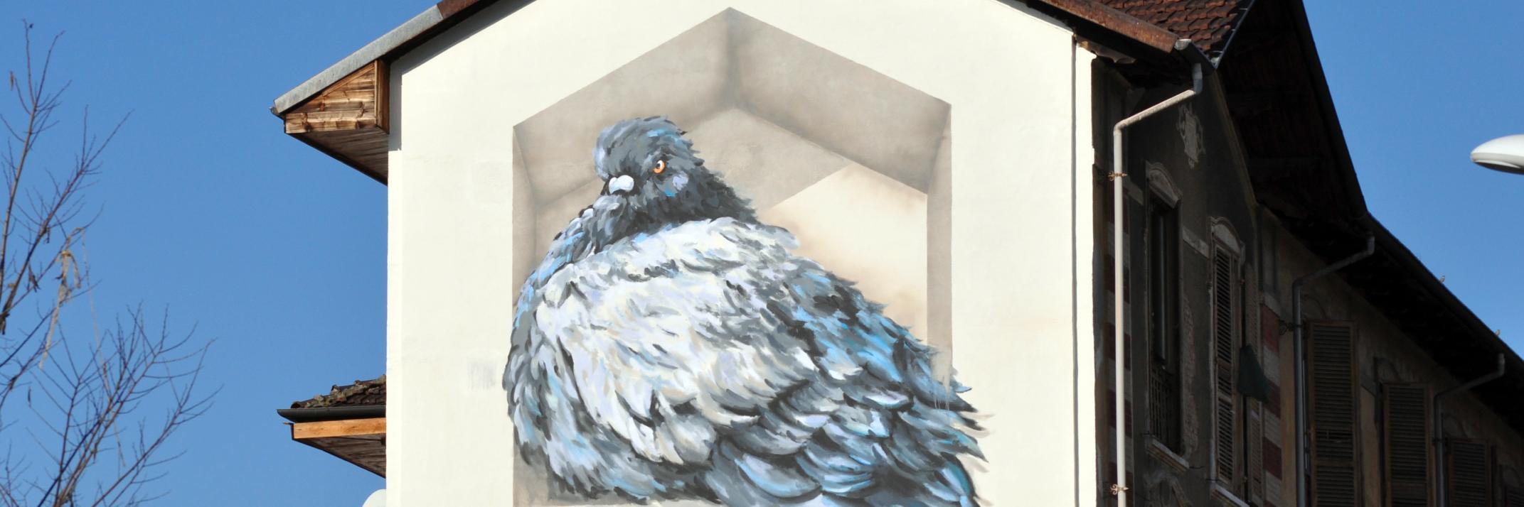 asstesso's profile banner image