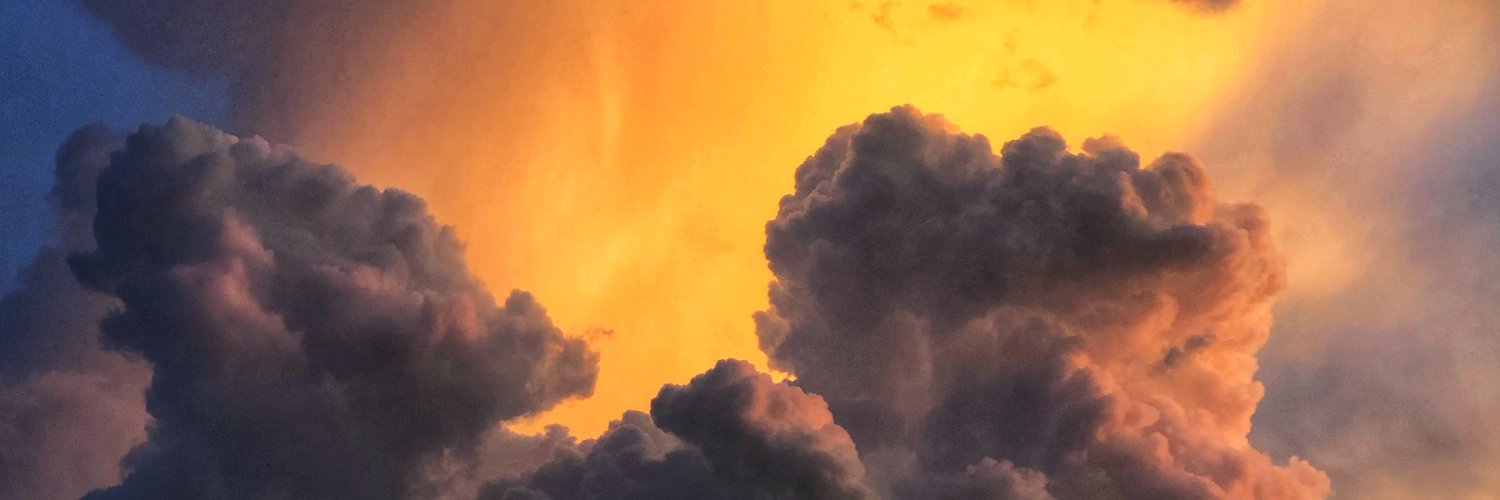 realink's profile banner image