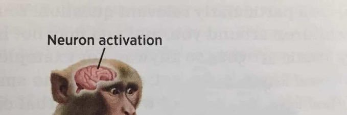 gerbert’s little orange book banner