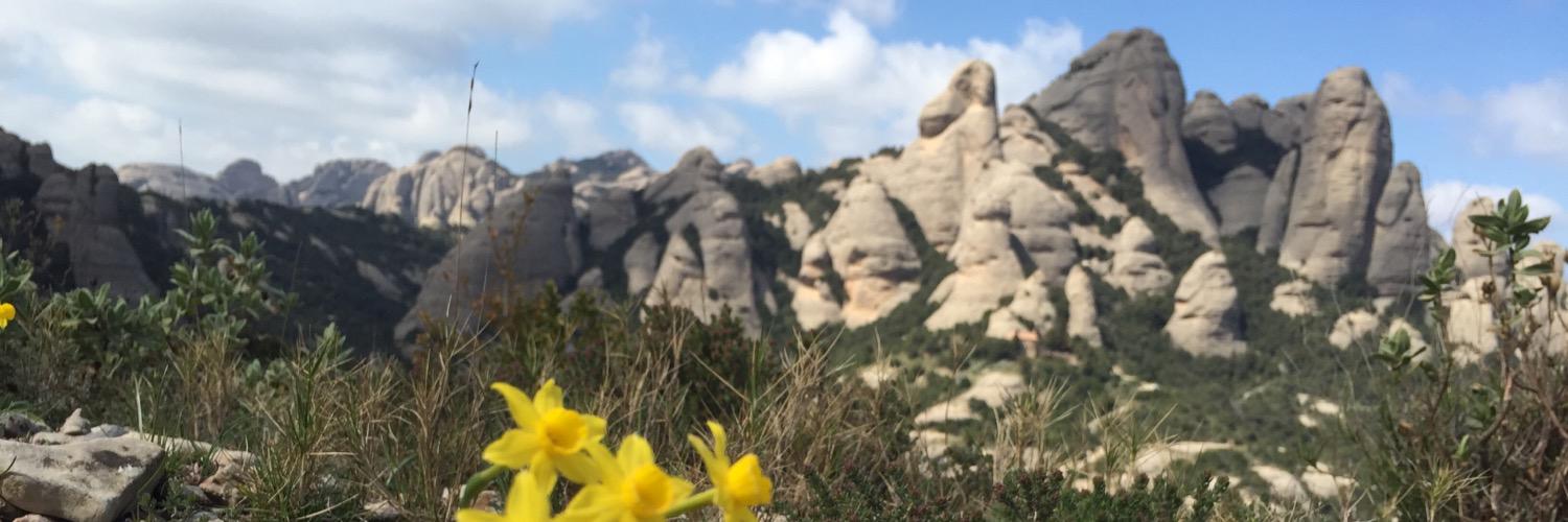 sunnyrachelj's profile banner image