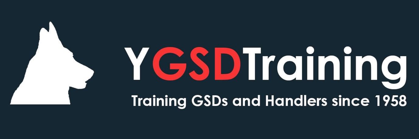 ygsdtraining's profile banner image