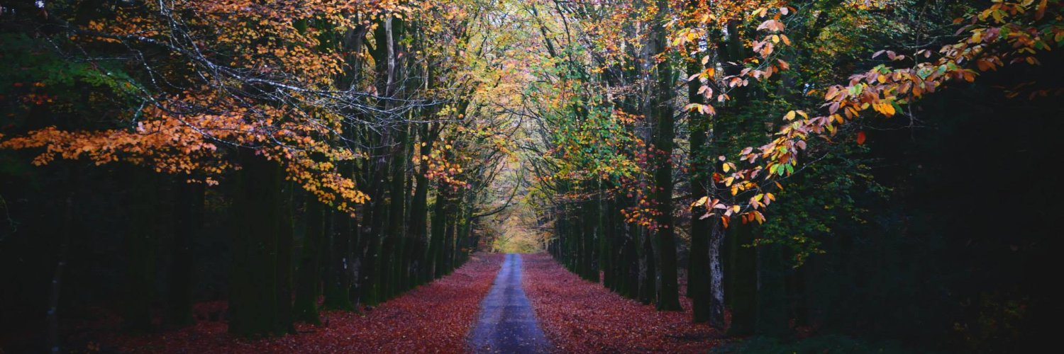 Marie-Madeleine R. banner