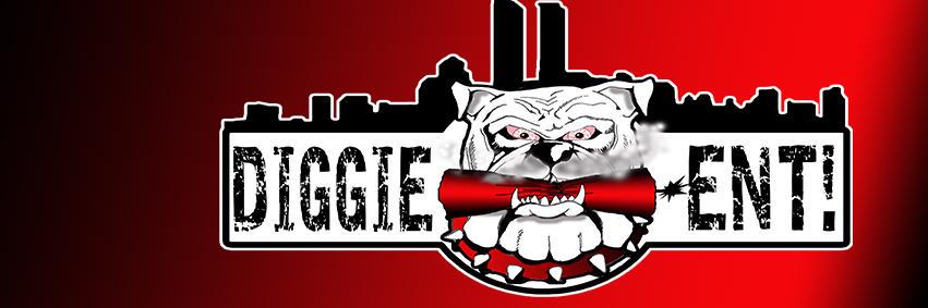 DiggieEnt's profile banner image