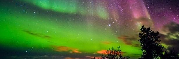 aurorafpuk's profile banner image