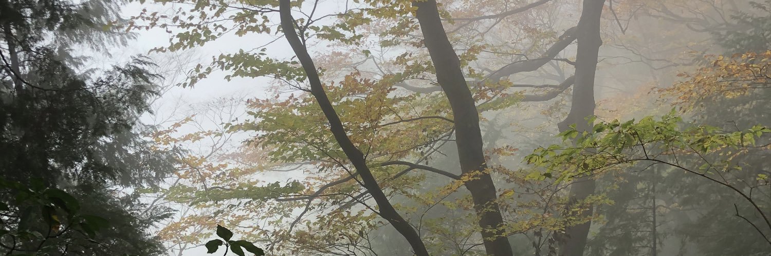 Bufkin13's profile banner image