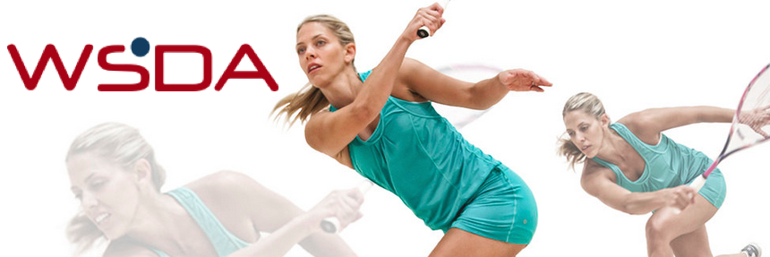 WSDAprotour's profile banner image