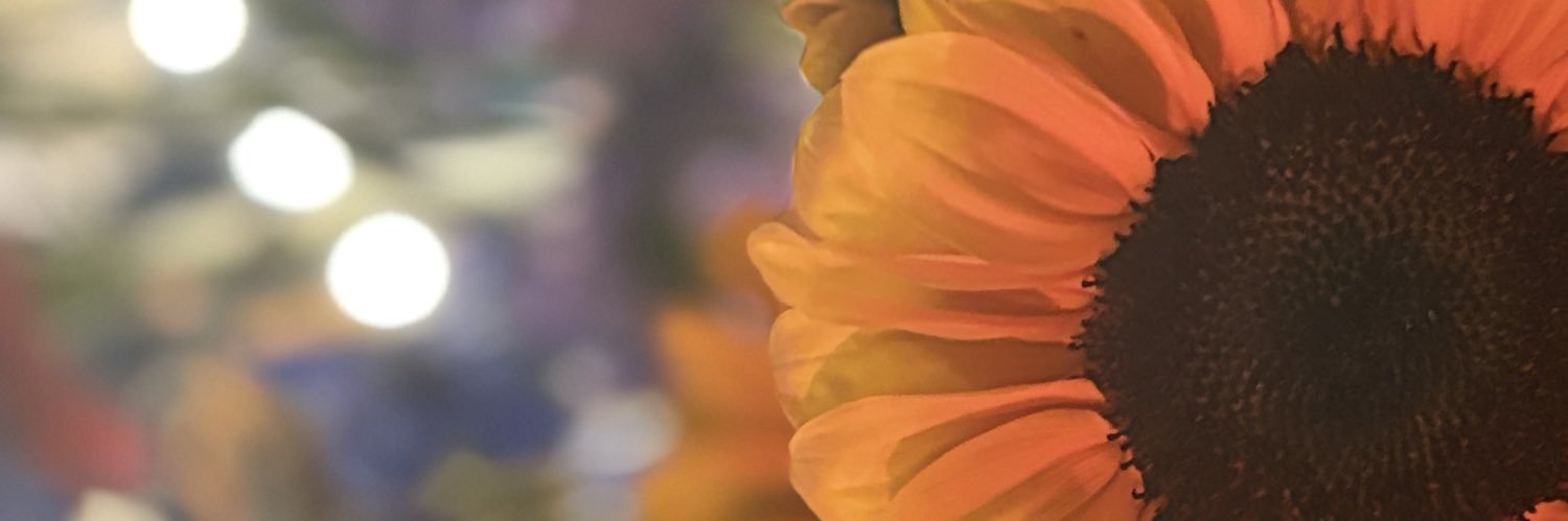 V6Marie's profile banner image
