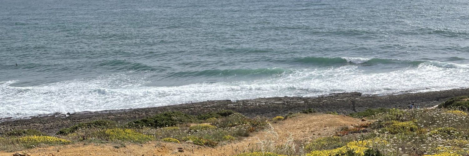 Julian Steinforth banner