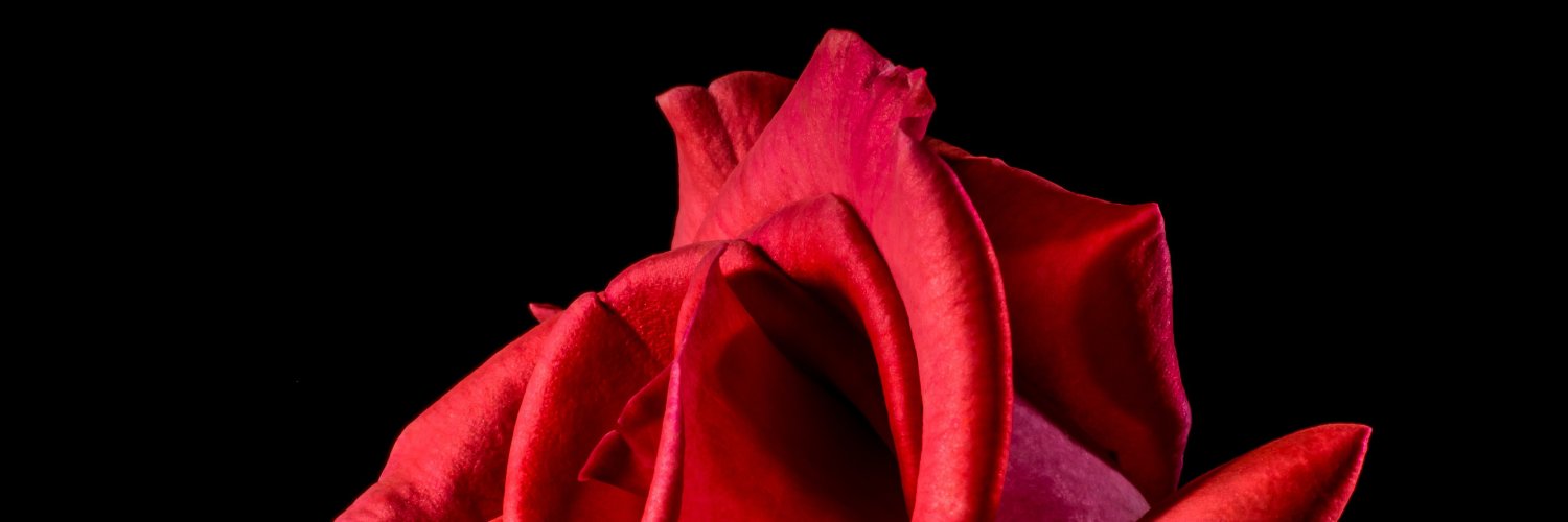 AngelaRay89's profile banner image