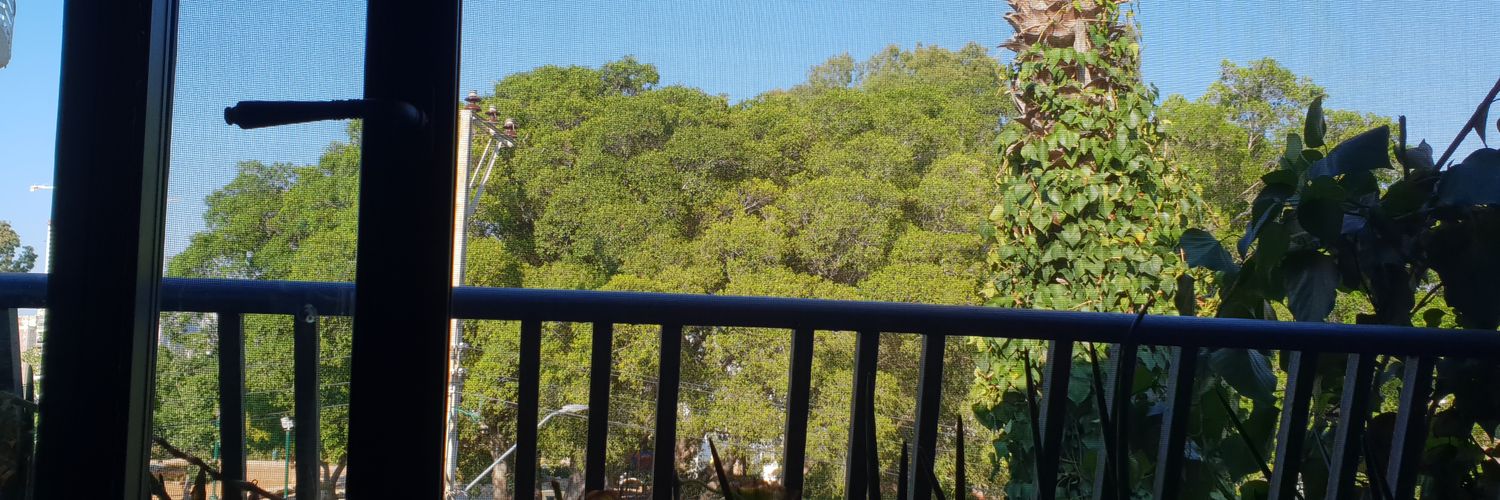 nerystrasman's profile banner image