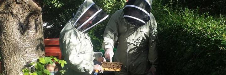 EducatedBees's profile banner image