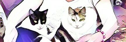 vanesol1985's profile banner image
