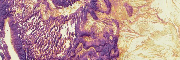 Timmeko Profile Banner