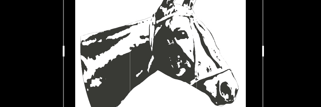 realpoloponies's profile banner image