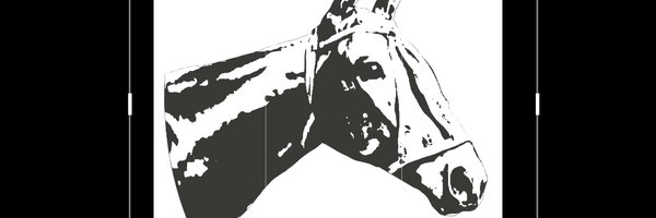 POLOPONIES Profile Banner