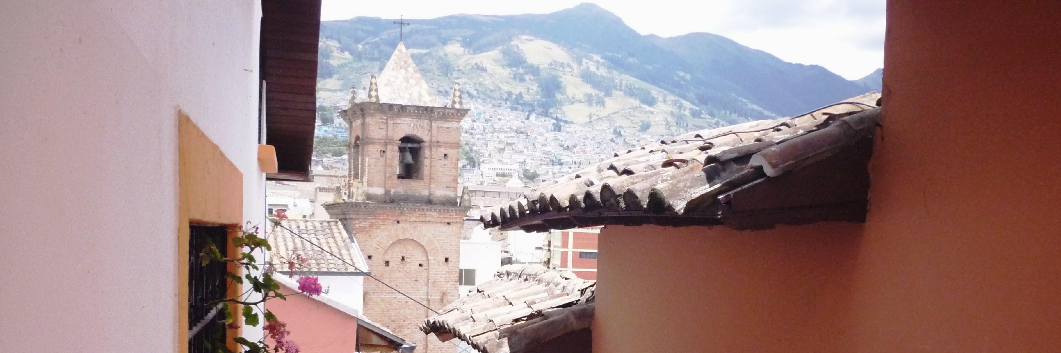 carmenpuntoco's profile banner image