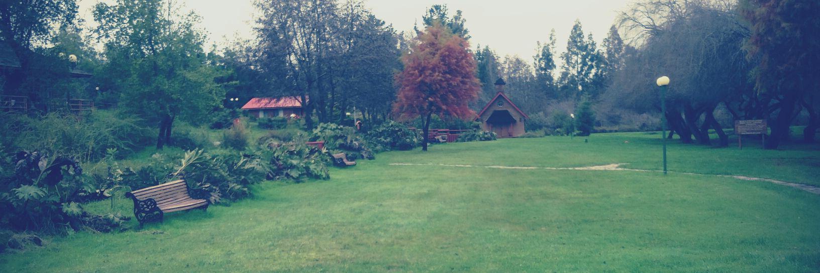 Anitatorrees's profile banner image