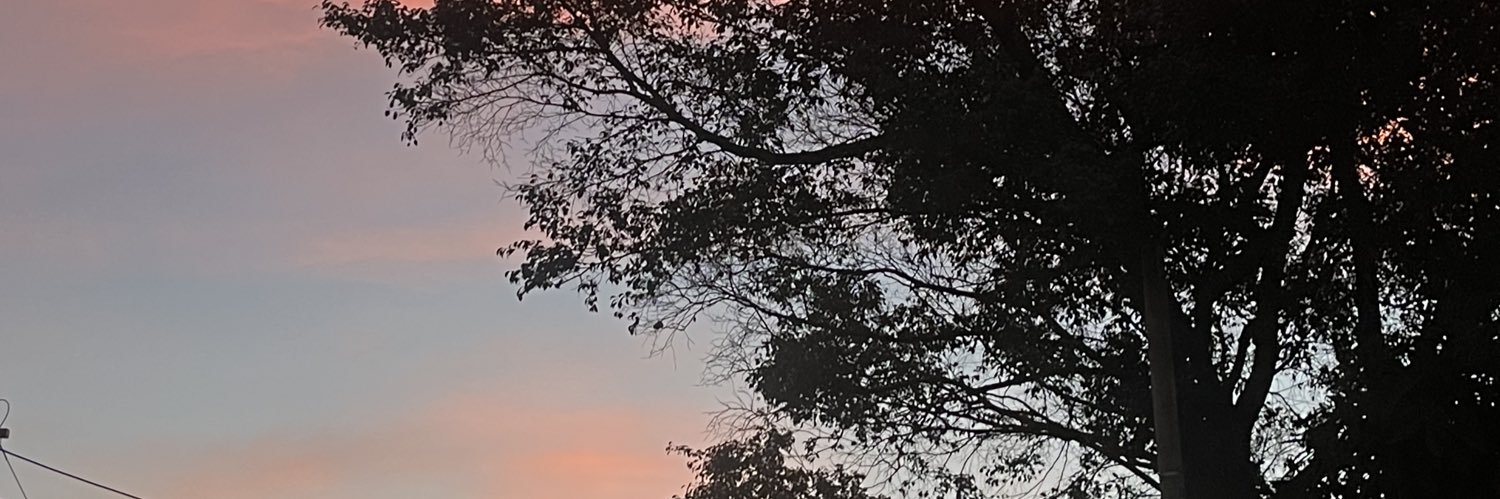 malvadona22d's profile banner image