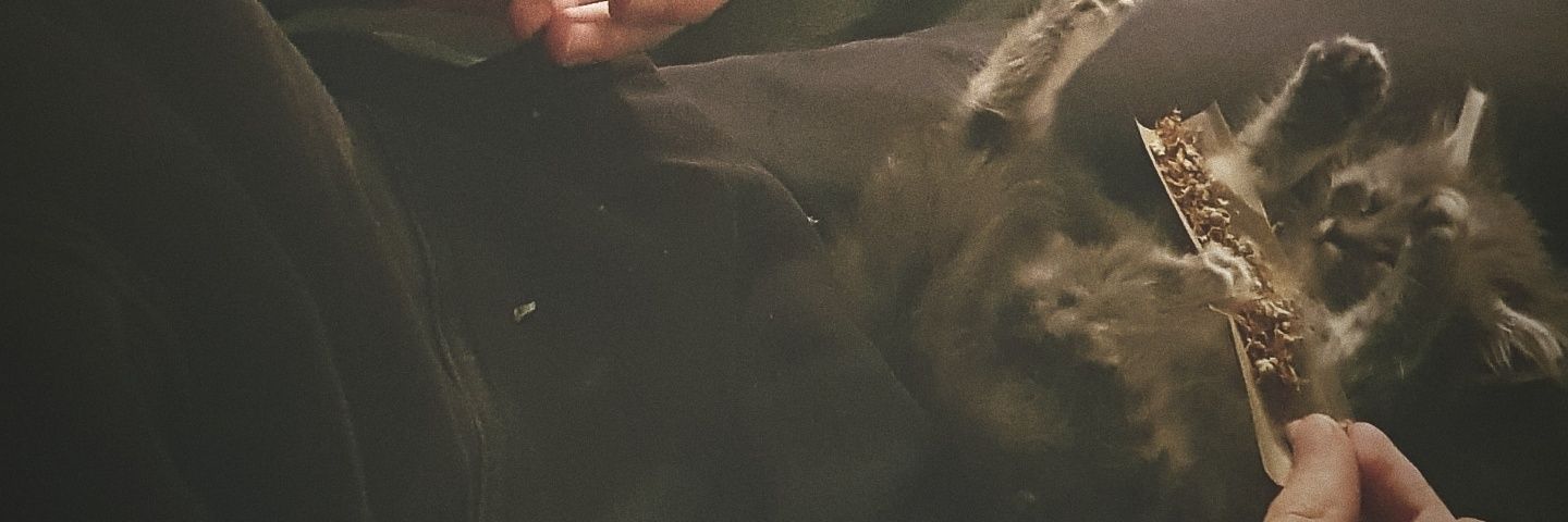 skrimshit's profile banner image