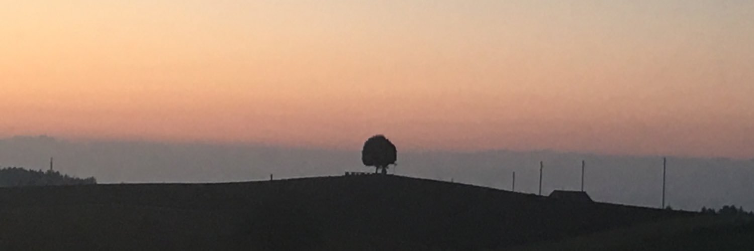 BSchlaepfer's profile banner image