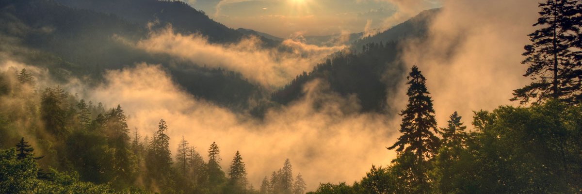 AWayintheWild's profile banner image