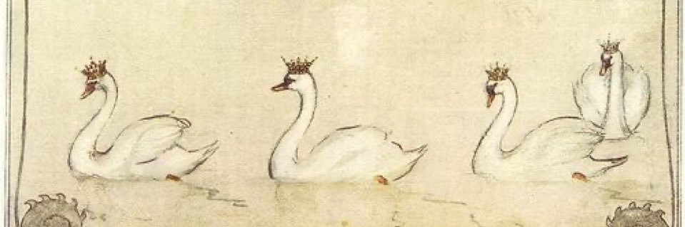 stvrboy_a's profile banner image