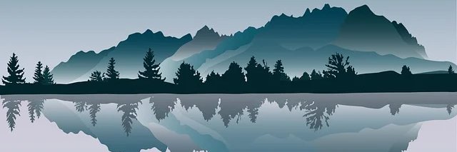 venidium1's profile banner image