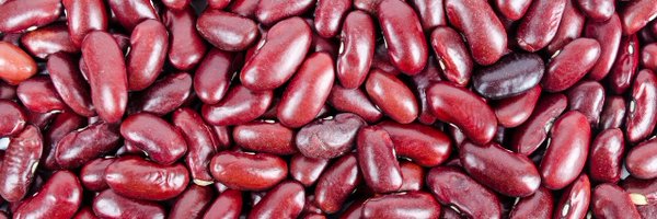 HotKidneyAction Profile Banner